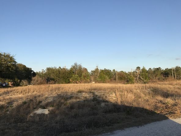 Bayonet Point Medical Office Site: 13734 Office Park Ct, Hudson, FL 34667
